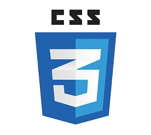 CSS logo
